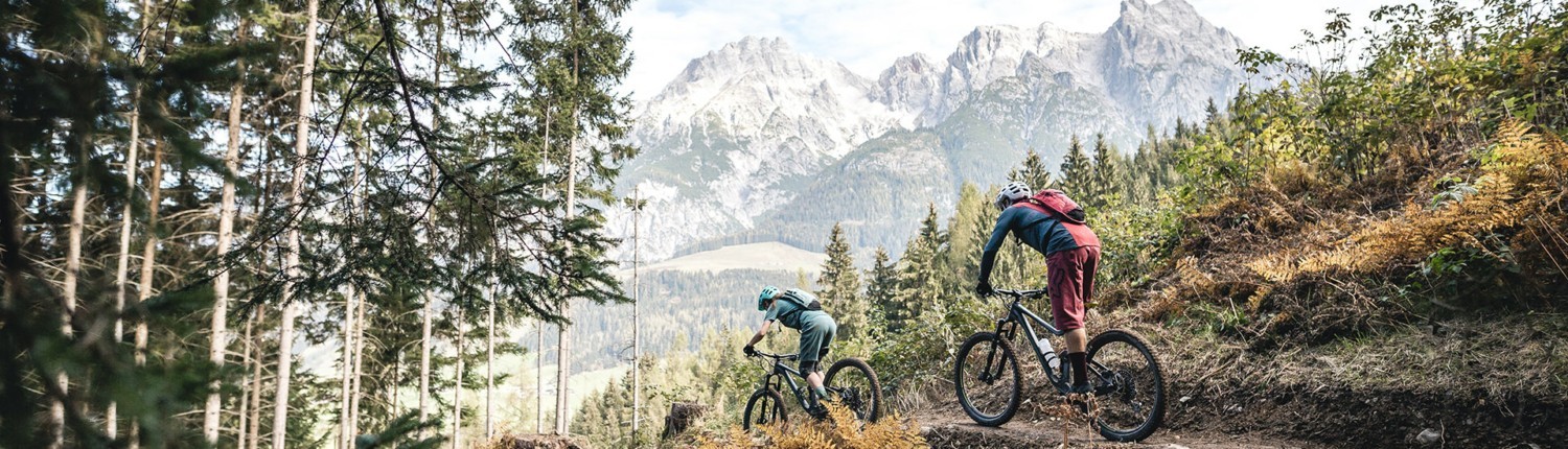 Schwarzleo Trail für Sommerbiker in Leogang Steinbergbahn