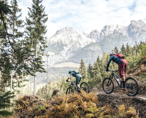 Schwarzleo Trail für Sommerbiker in Leogang Steinbergbahn