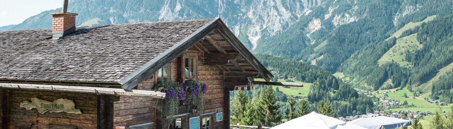 Die Sinnlehenalm in Leogang Fewo Apart Herzog