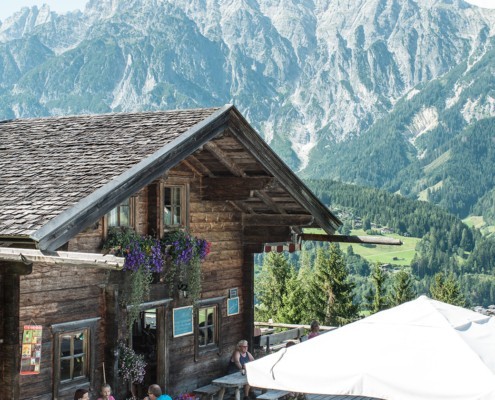 Die Sinnlehenalm in Leogang Fewo Apart Herzog