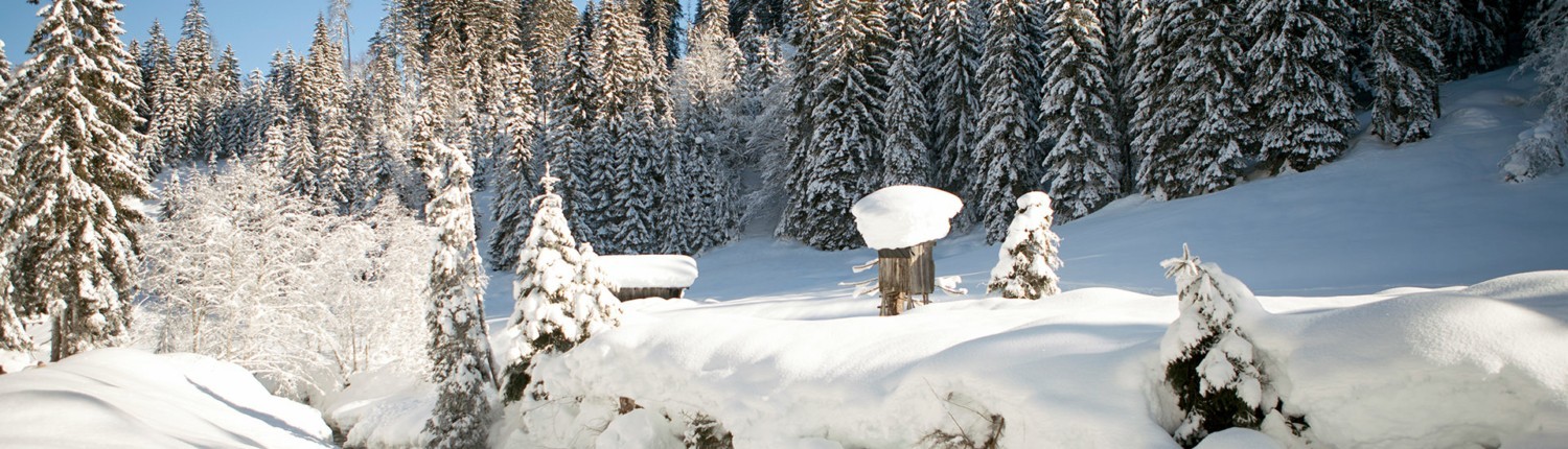 Winter paradise Leogang