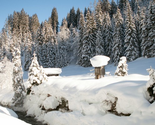 Winterparadies Leogang Feriendomizil Apartmenthaus Herzog