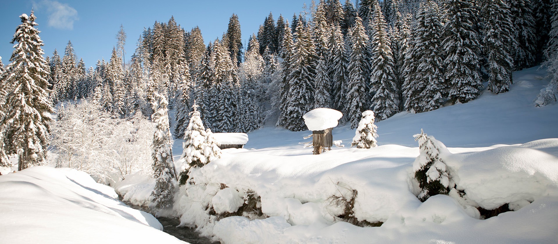 Winter paradise Leogang