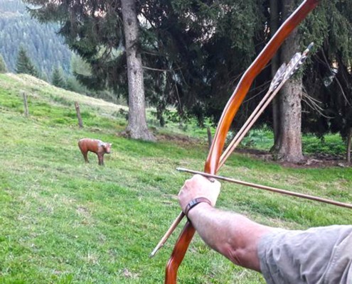 Bogensport in Saalfelden Leogang Apart Herzog