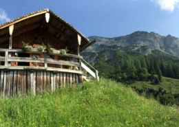 Quartier Apart Herzog wandern zum Lettlkaser Saalfelden