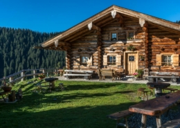 Ferienhaus Apart Herzog hiken zur Lindlalm Leogang