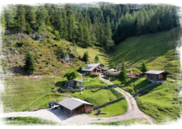 Apart Herzog wandern zur Steinalm Saalfelden